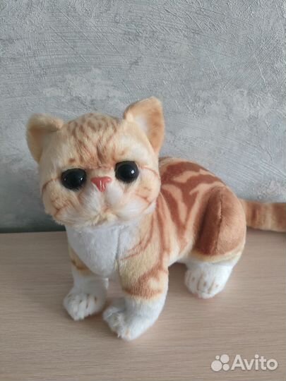 Мягкая игрушка кот