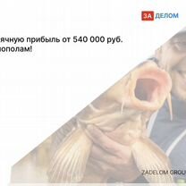 Агентство по рыбоводству в городе, Гомель