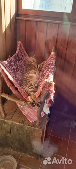 Кошкин дом продается