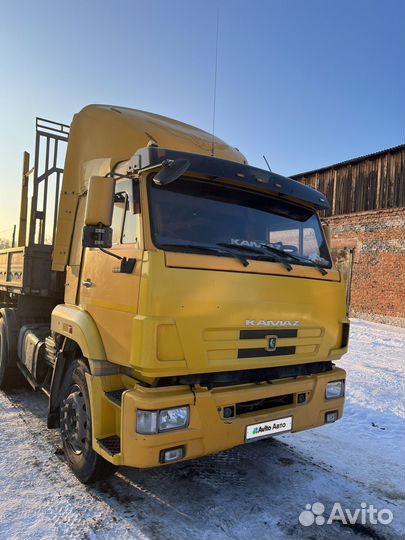 КАМАЗ 65116-N3, 2010