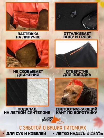 Новая попона для собак