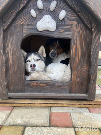 Будка для собаки