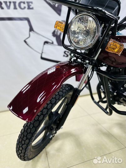 Racer 200GY-C2A Tourist (Forester,Mongol)