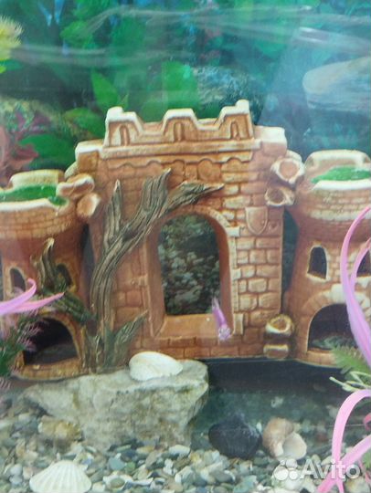 Аквариум 200л