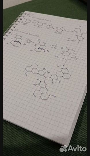 Решаю дз по химии и информатике (читать описание)