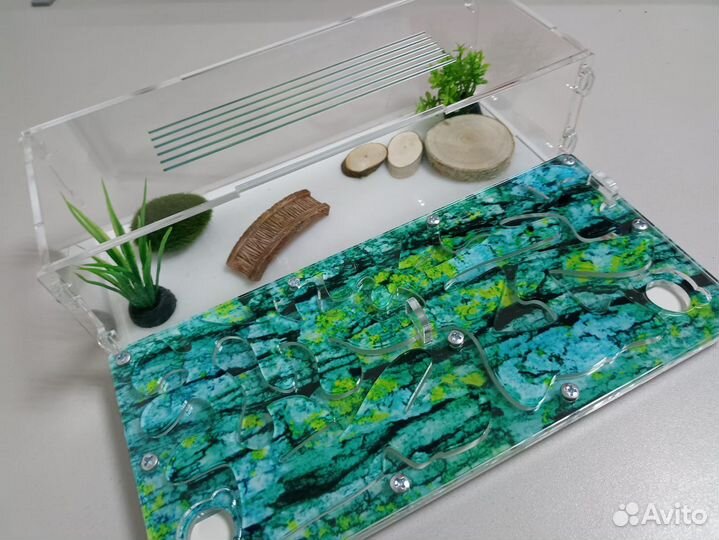 Муравьиный домик, формикарий, муравьи