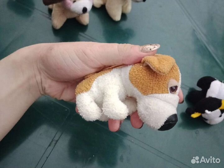 Собака в ботинке из Макдональдса