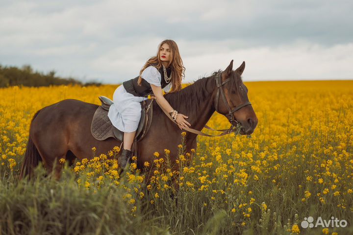 Жеребая кобыла