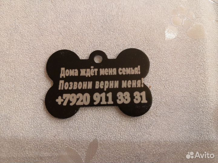 Адресник для домашних животных