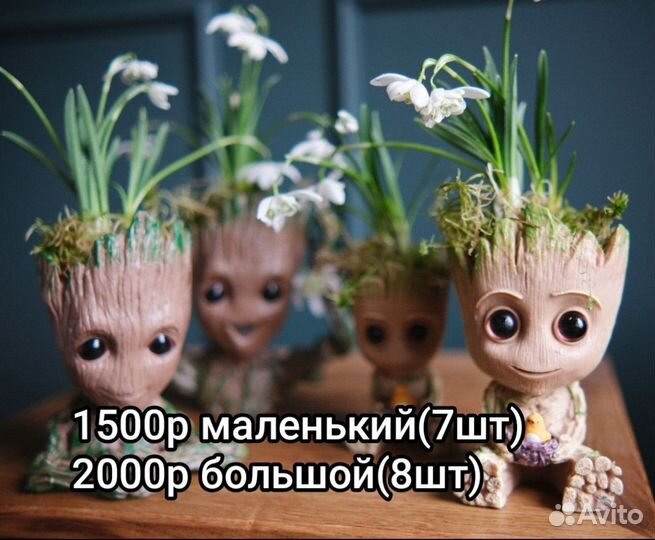 Подснежники для любимых