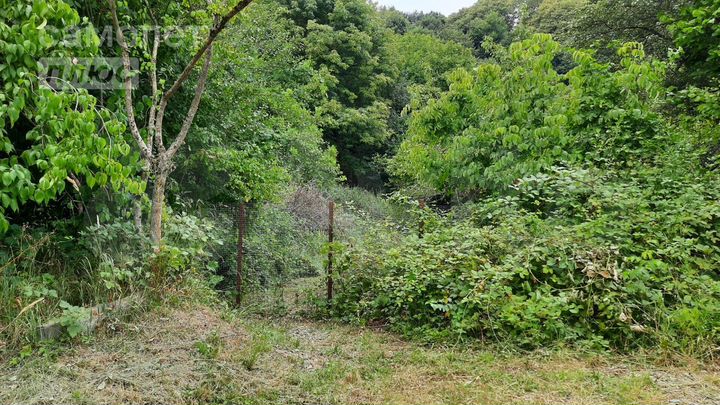 Участок 16 сот. (ИЖС)