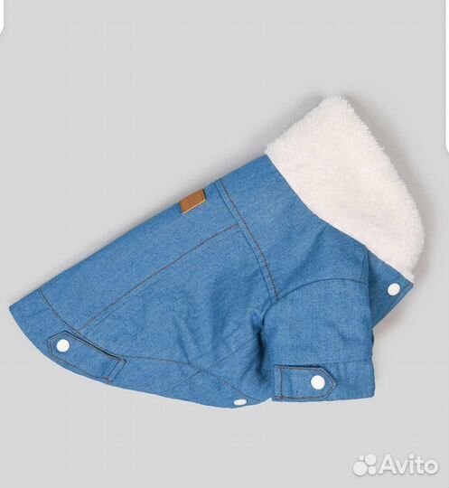 Одежда для маленьких собак