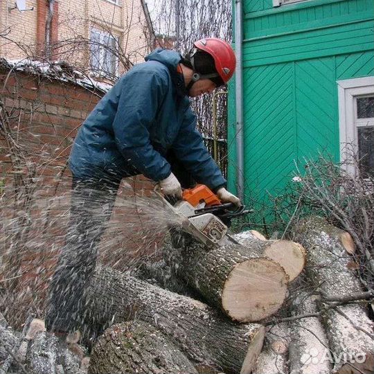 Корчевание,Спил,Разнорбочие