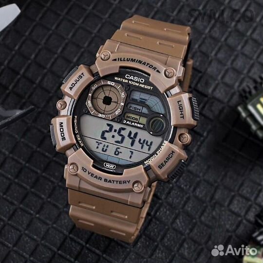 Оригинальные часы Casio Collection WS-1500H-5A