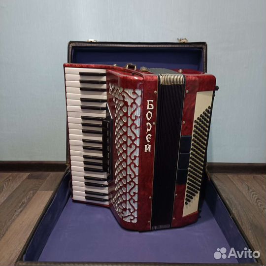 Аккордеон Борей