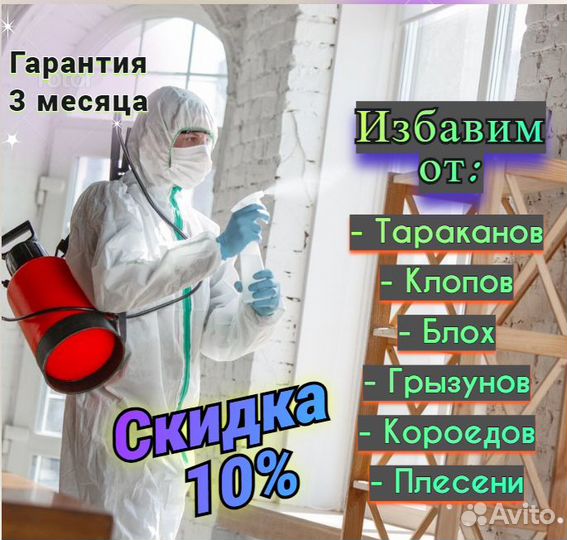 Уничтожить тараканов клопов мышей дезинфекция