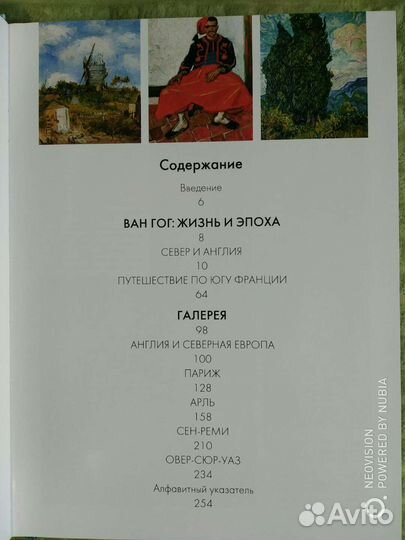 Книга о художнике, Ван Гог