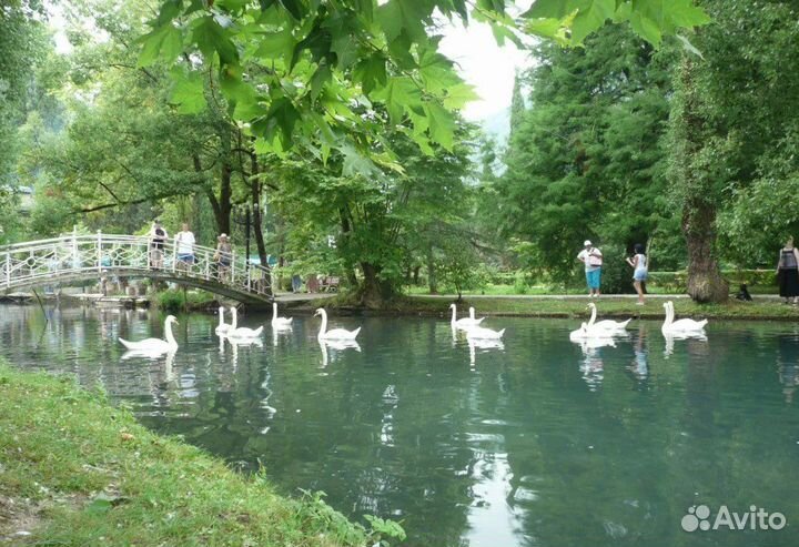 Экскурсии по Абхазии на минивэне