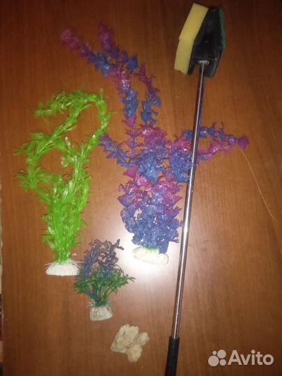 Скребок+водоросли