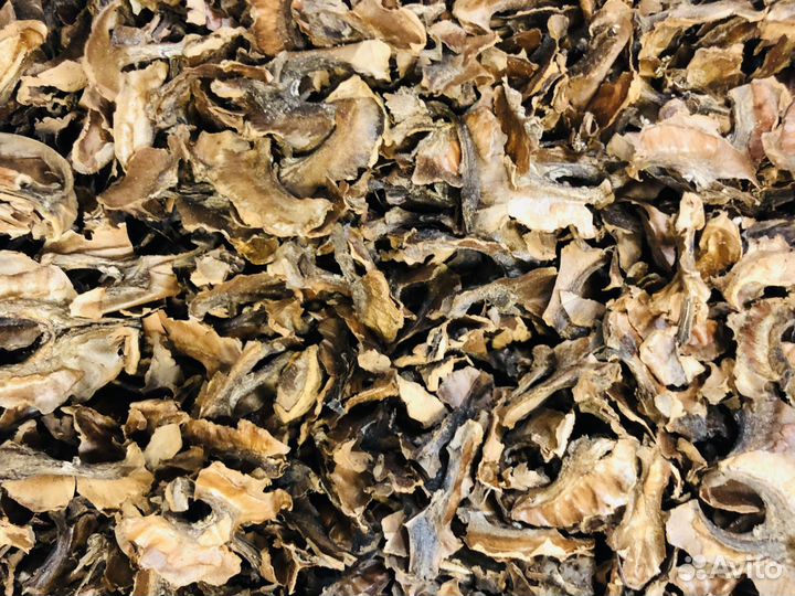 Перегородки грецких орехов