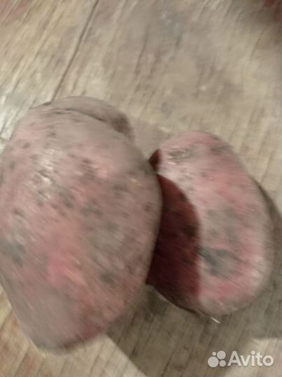 Продам картофель