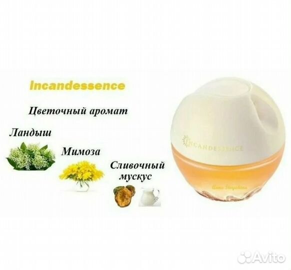 Avon incandessence