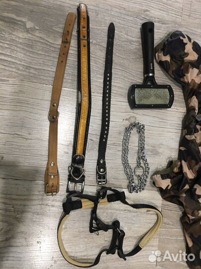 Костюм для собак