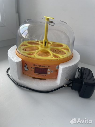 Инкубатор для яиц