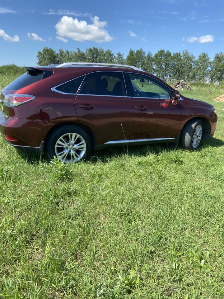 Lexus RX: фото владельца