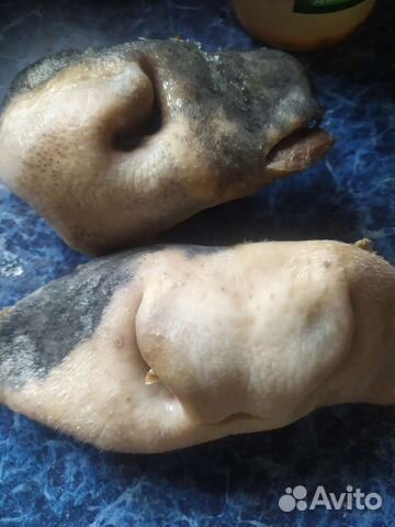 Носы опаленные говяжьи