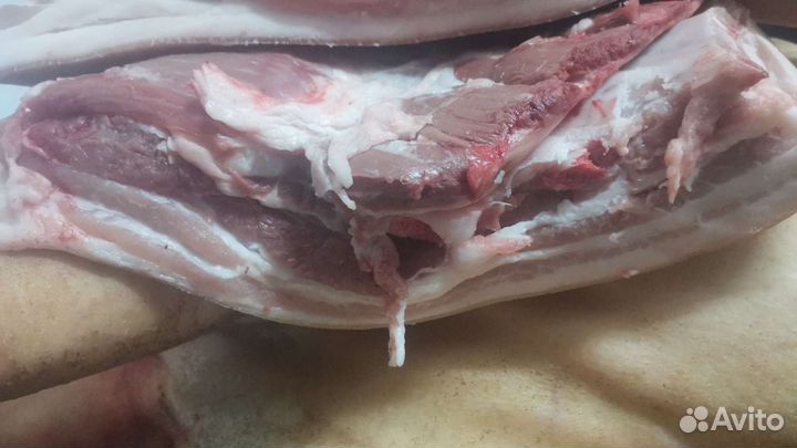 Продам мясо свинина