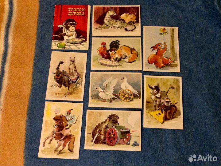 Уголок Дурова открытки