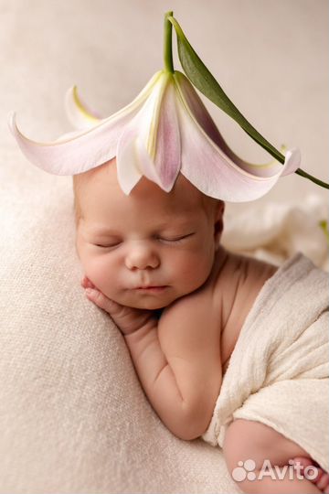 Фотосессия новорожденного newborn