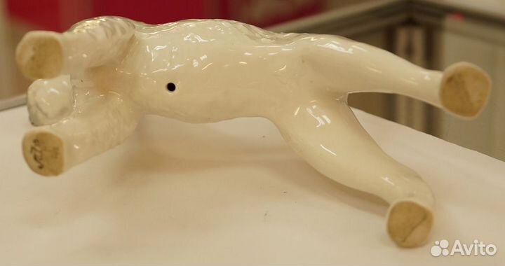 Коллекционая собака лфз 