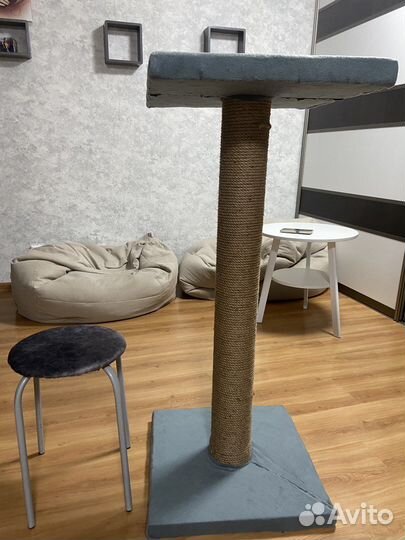 Когтеточка