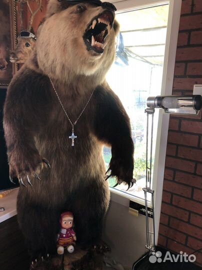 Искусственное чучело мишки