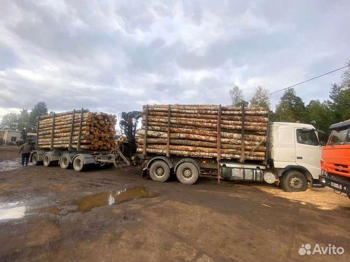 Дрова Качественные