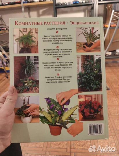 Энциклопедия Комнатные растения