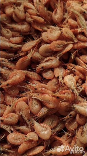 Корма для животных