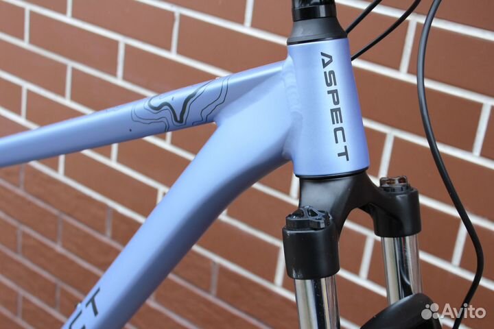 Aspect Cobalt 29 2024