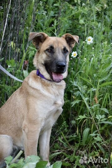 Очаровательная Рейна 1,5 года ищет семью