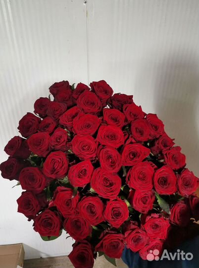 Букет роз. Розы