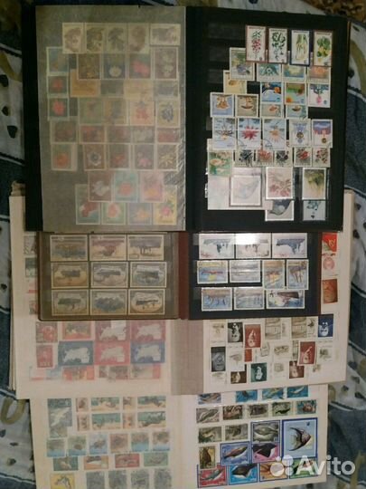 Почтовые марки СССР,Иностранные.Марки в альбомах.О