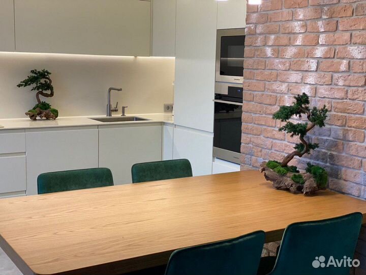 Дерево стабилизированное Бонсай