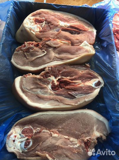 Свинина домашняя, доставка по области