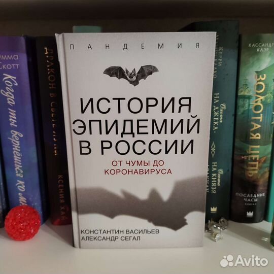 «История эпидемий в России» Константин Васильев
