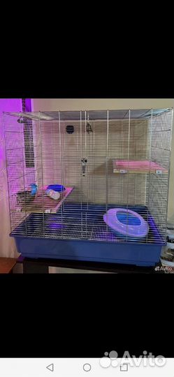 Клетка savic chichi 2, 80*50*80