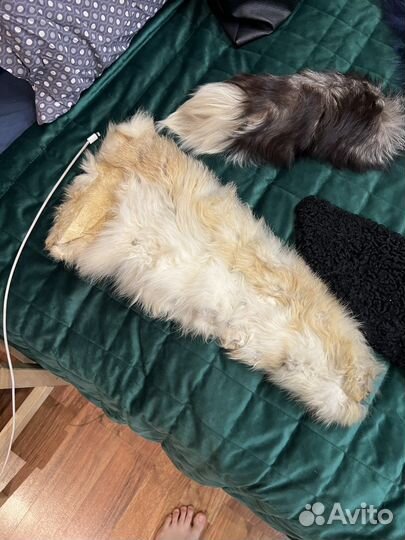 Воротники меховые и шкурки