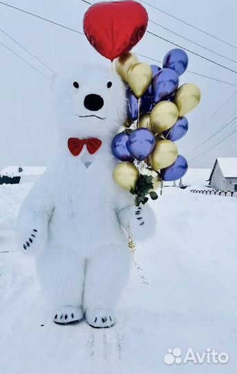 Поздравление от мишки/Ростовые куклы Пенза