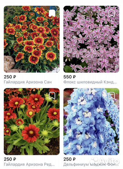 Многолетники садовые